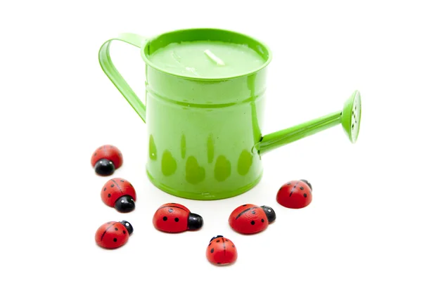 Watering can with ladybird — Stock Photo, Image