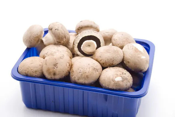 Stock image Champignons in bowl