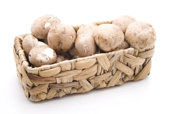 stock image Champignons in the basket