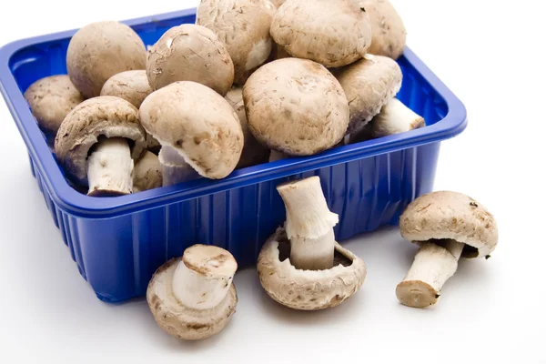 stock image Champignons in bowl