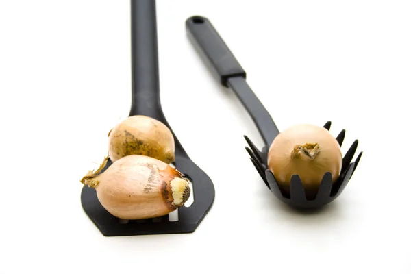 Onions with Kitchen tools — Stock Photo, Image