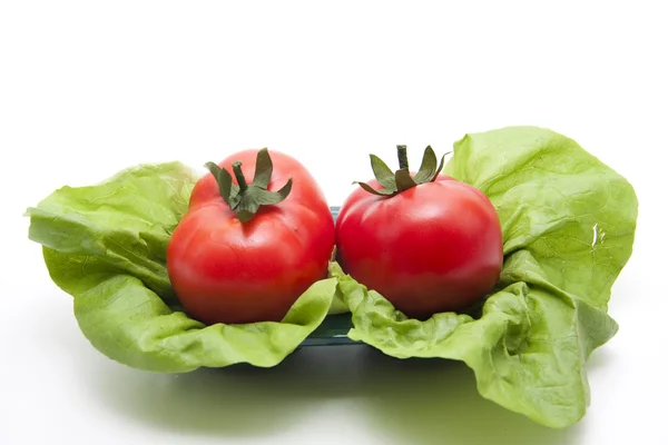 Fräsch sallad med tomat — Stockfoto