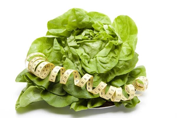 Fresh lettuce with dimension tape — Stock Photo, Image