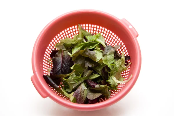 Lavaggio dell'insalata — Foto Stock