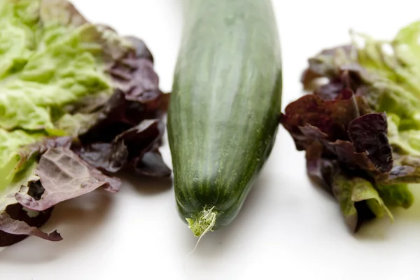 Komkommer met salade — Stockfoto