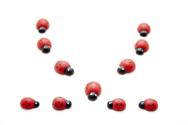 Many ladybirds — Stock Photo, Image
