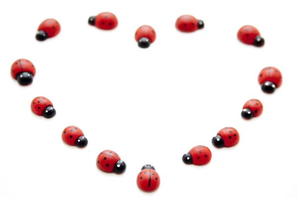 Many ladybirds — 스톡 사진