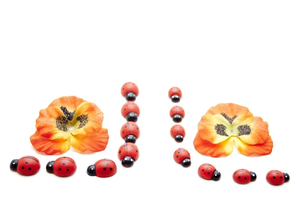 Many ladybirds — Stock Photo, Image
