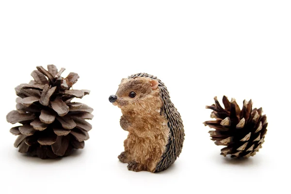Hedgehog with conifer cone — Stock Photo, Image
