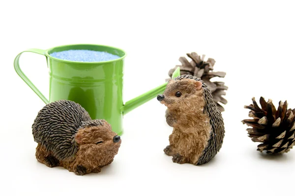 Hedgehog with conifer cone — Stock Photo, Image