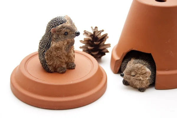 Hedgehog with tone lid and tone pot — Stock Photo, Image