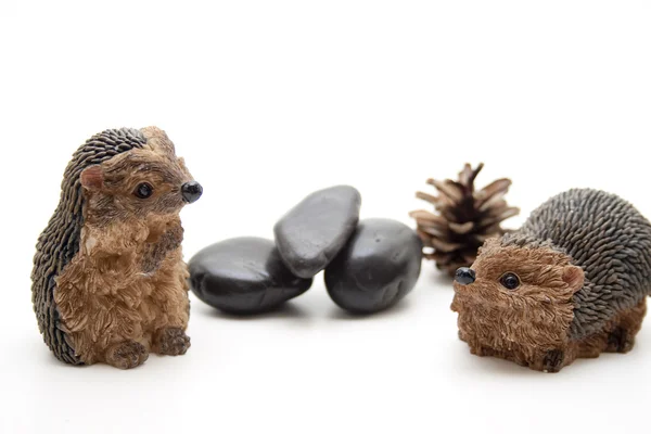 Hedgehog with black stones — Stock Photo, Image