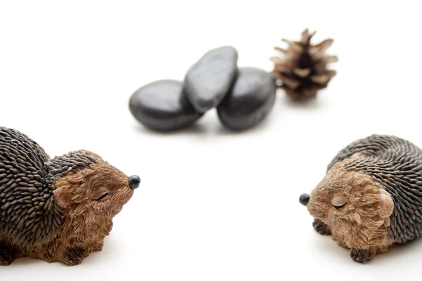 Siyah taşlar ile kirpi — Stok fotoğraf