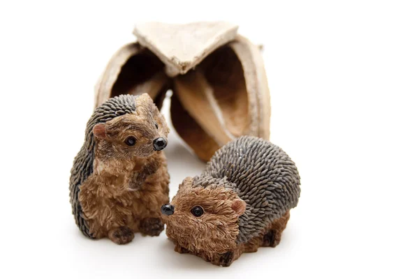 Hedgehog before house — Stock Photo, Image