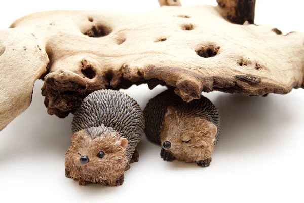 Ouriço com árvore de madeira — Fotografia de Stock