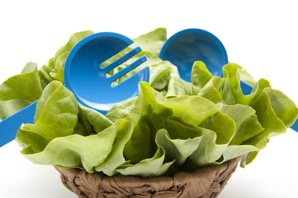 Freshly lettuce — Stock Photo, Image