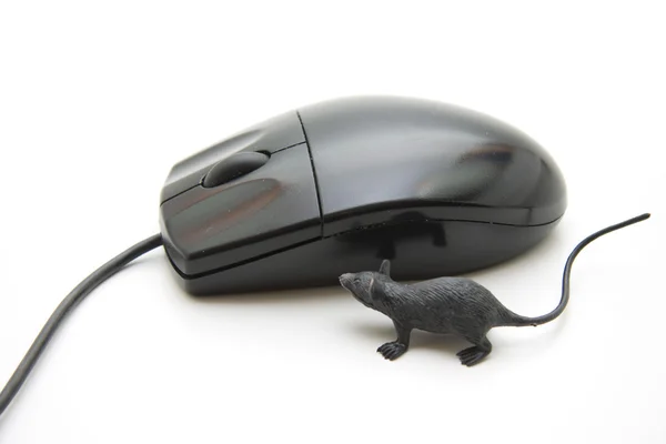 PC myš — Stock fotografie