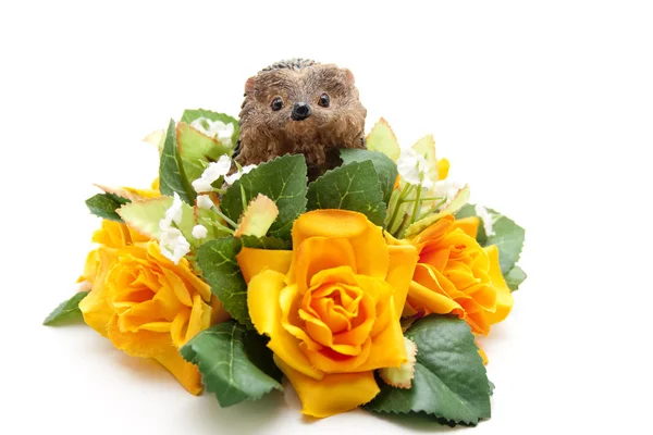 Yellow flower with Hedgehog — Stock Photo, Image