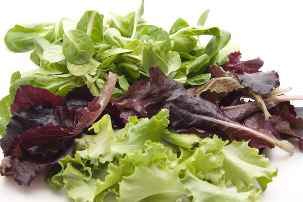 Verschillende salade — Stockfoto