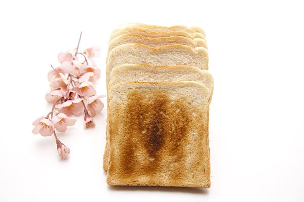 Toastscheiben — Stockfoto