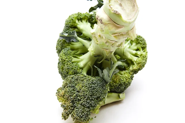 Brokolice s kmenových — Stock fotografie
