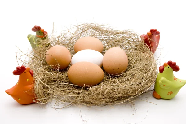 Huevos crudos en heno — Foto de Stock