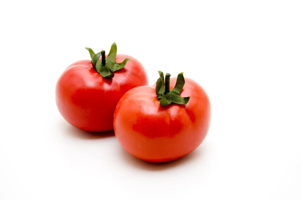 Krzew świeże pomidory — Zdjęcie stockowe
