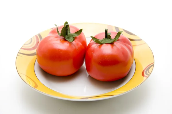 Tomates de arbusto — Fotografia de Stock
