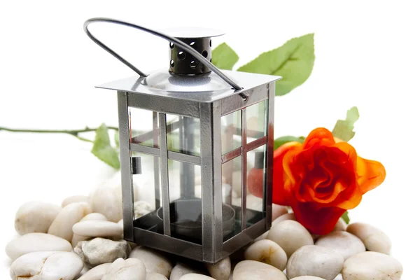 Lantern with rose — Stock Photo, Image