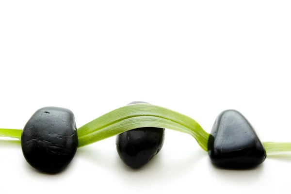 Zwarte stenen met een groen blad — Stockfoto