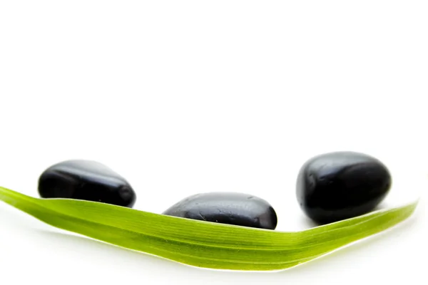 Black stones with a green sheet — Stock Photo, Image
