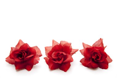 Red flowers clipart
