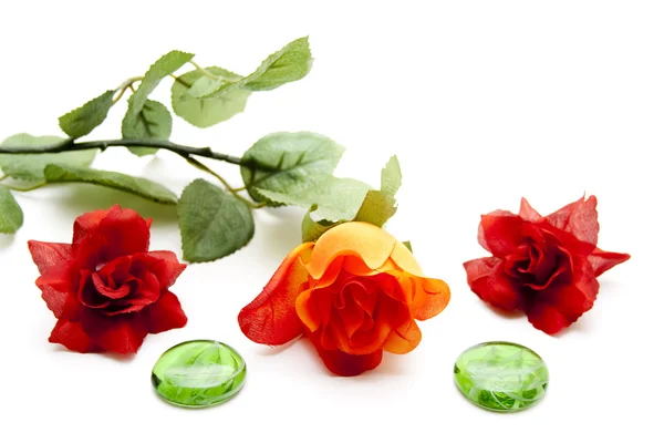Pedras verdes com flores diferentes — Fotografia de Stock
