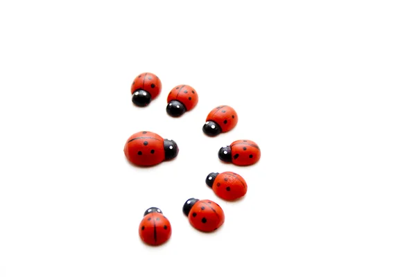 Ladybirds — Stock Photo, Image