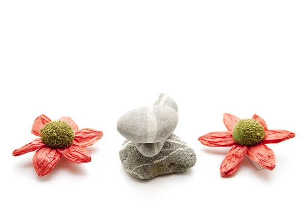 赤い花を持つ灰色の石 — ストック写真