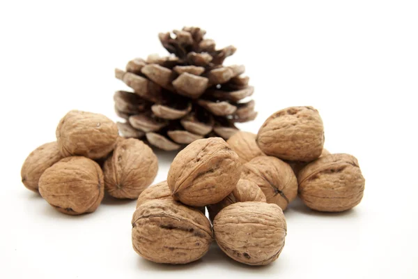 Walnuts with conifer cone — Stock Photo, Image
