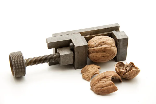 Hnědá vlašské ořechy — Stock fotografie