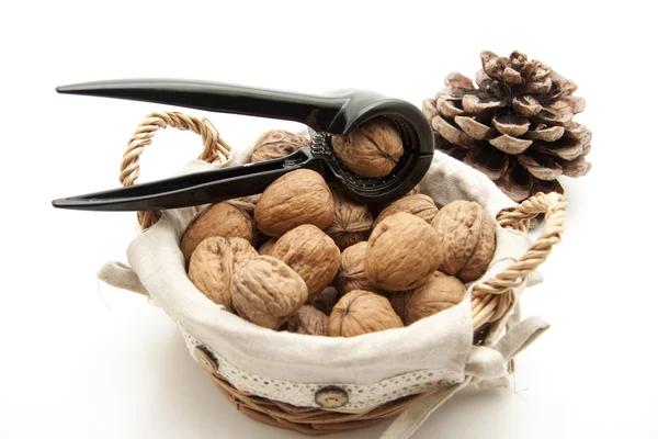 Walnuts with conifer cone Royalty Free Stock Images