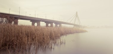 Bridge panorama clipart