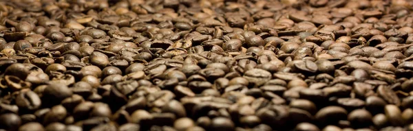 stock image Coffee in grains close up