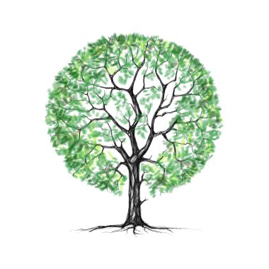 A tree, summer, drawing clipart