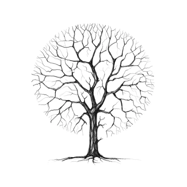 Uma árvore, inverno, desenho — Fotografia de Stock