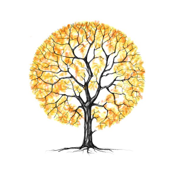 Painted Autumn tree on a white background