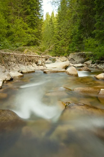 stock image The natural mountain river