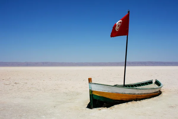 Stock image Boat in solonchak