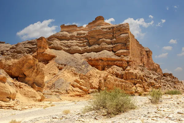 Desert of Faran — Stock Photo, Image