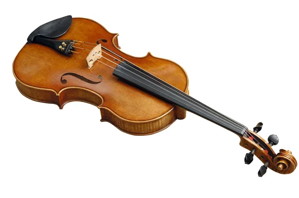 stock image Violin on white