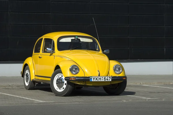 Yellow Beetle — Stock Photo, Image