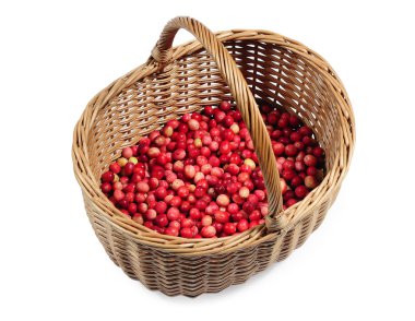 Cranberries sepet