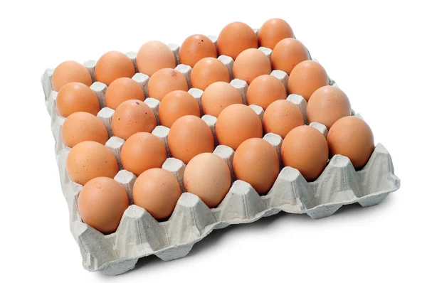 stock image Eggs in the package